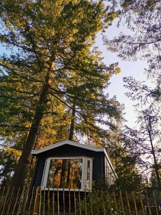 Boslodge 84 Vorden Exterior photo